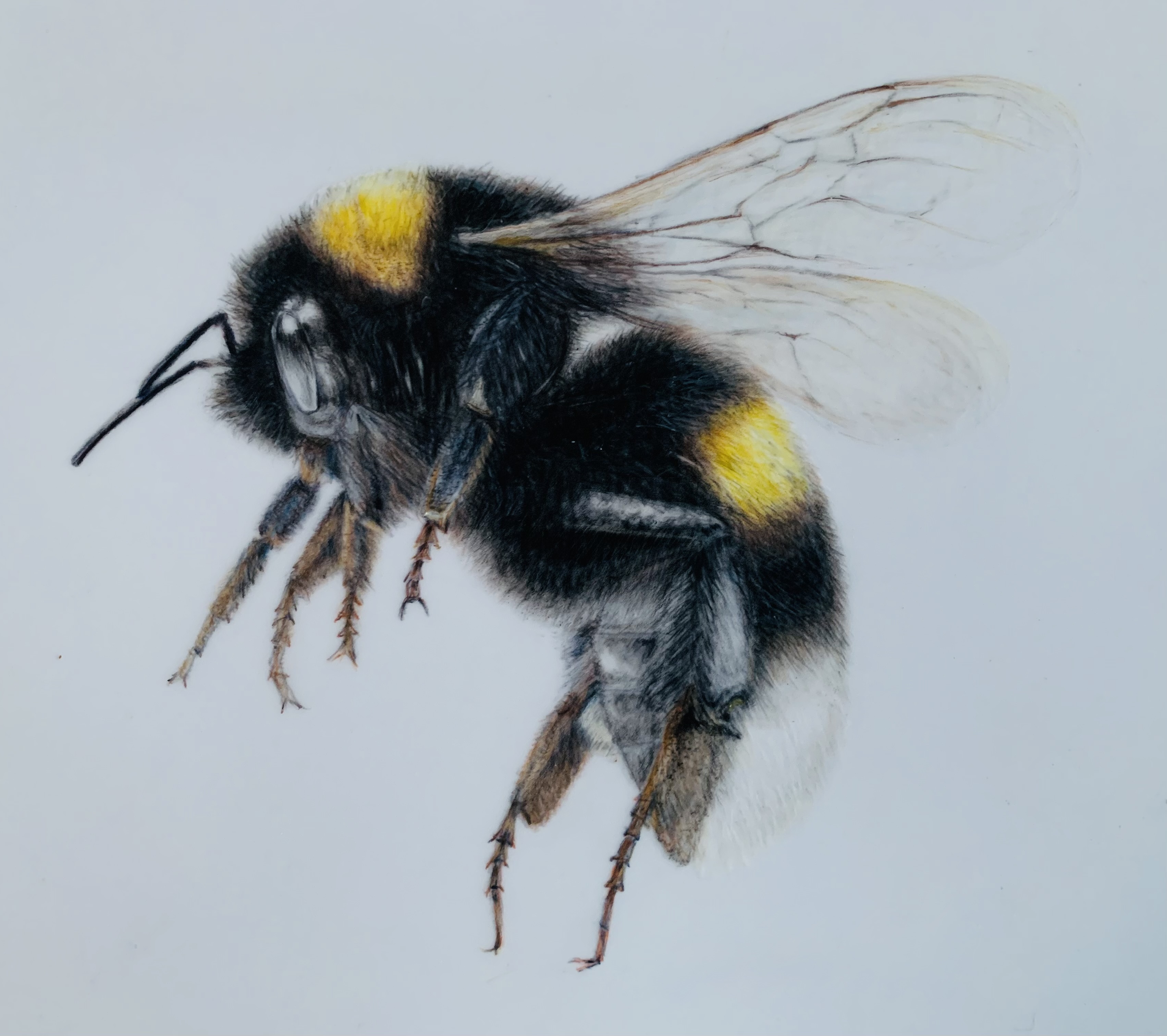 ‘Landing’ - Original