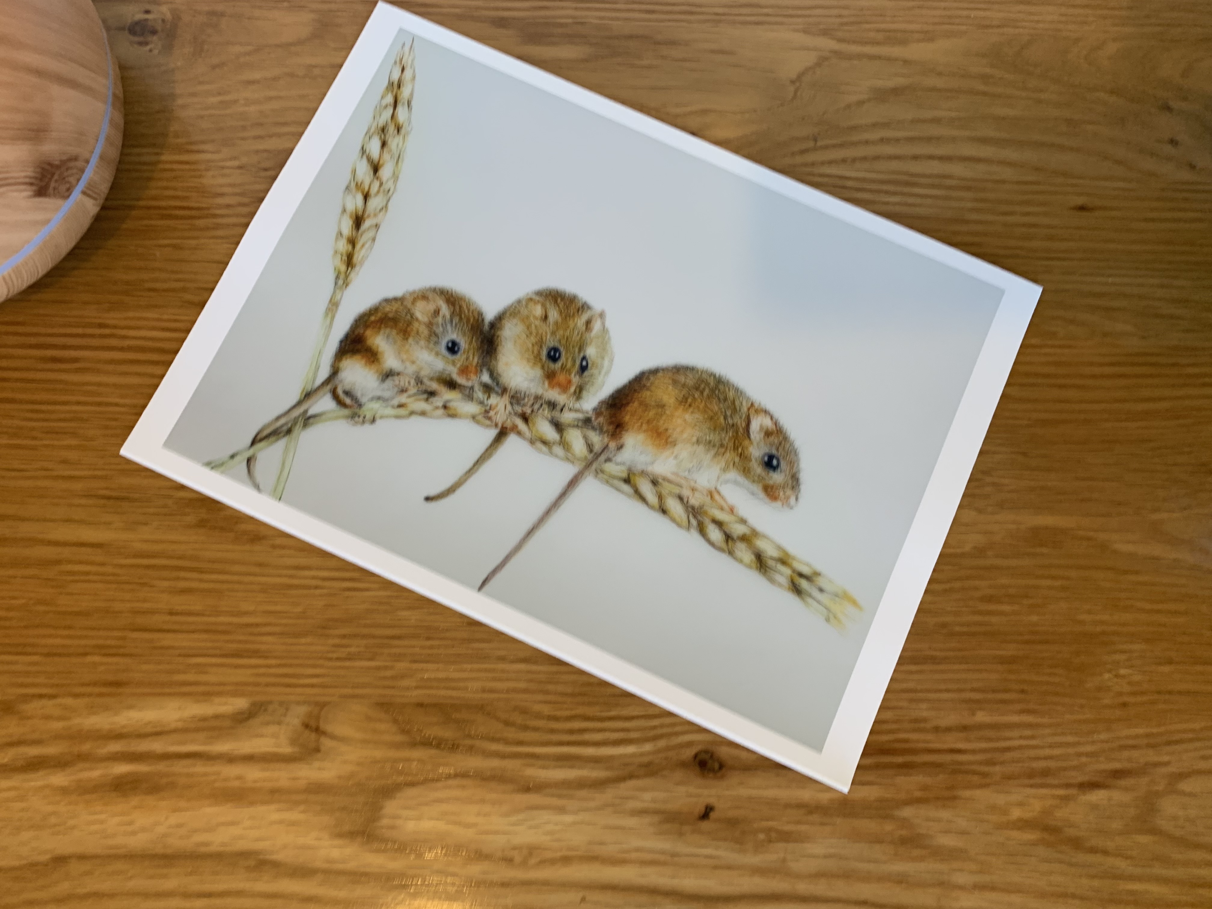 ‘Balancing’ Print