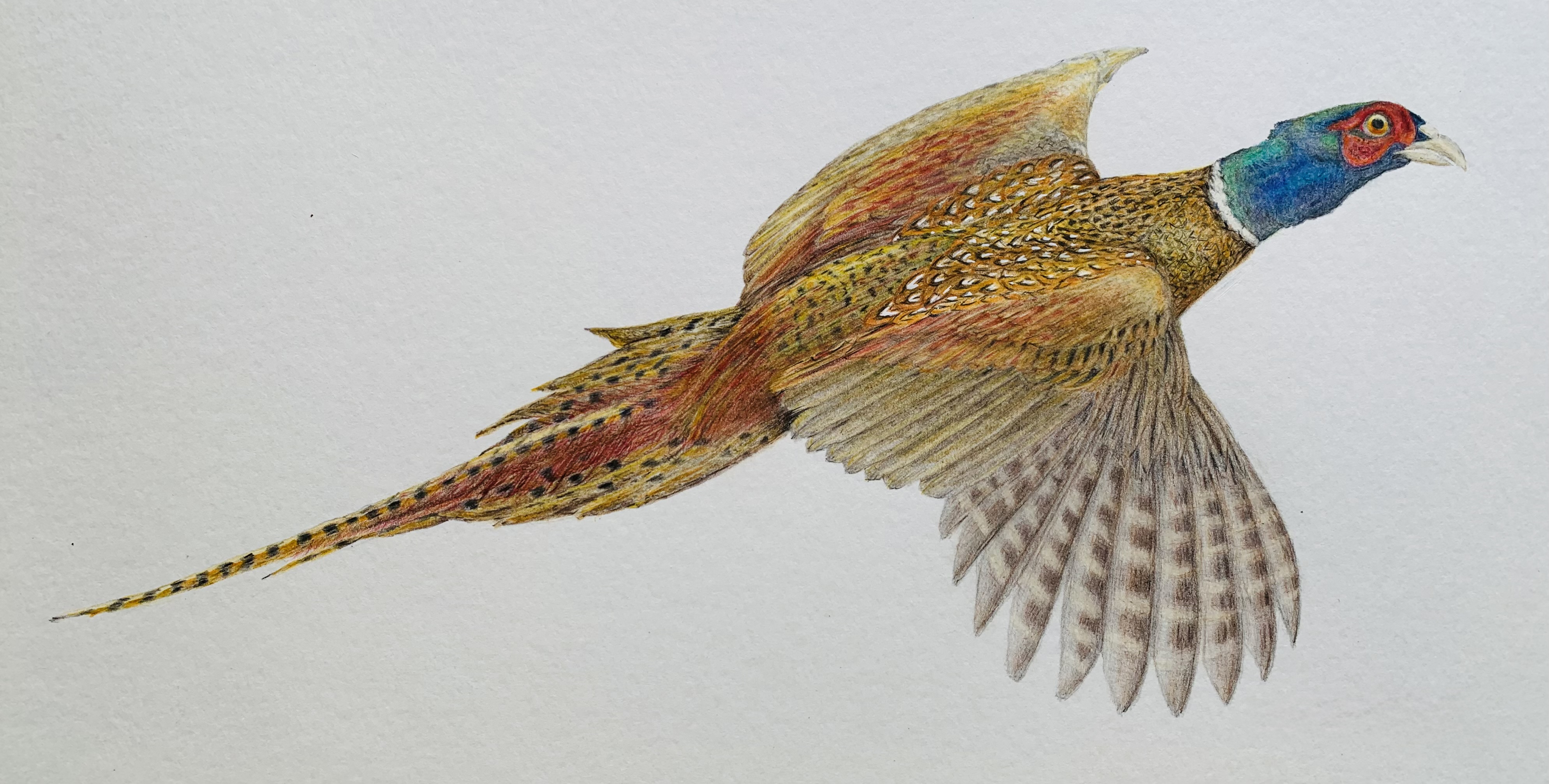 ‘Take Off’ Print