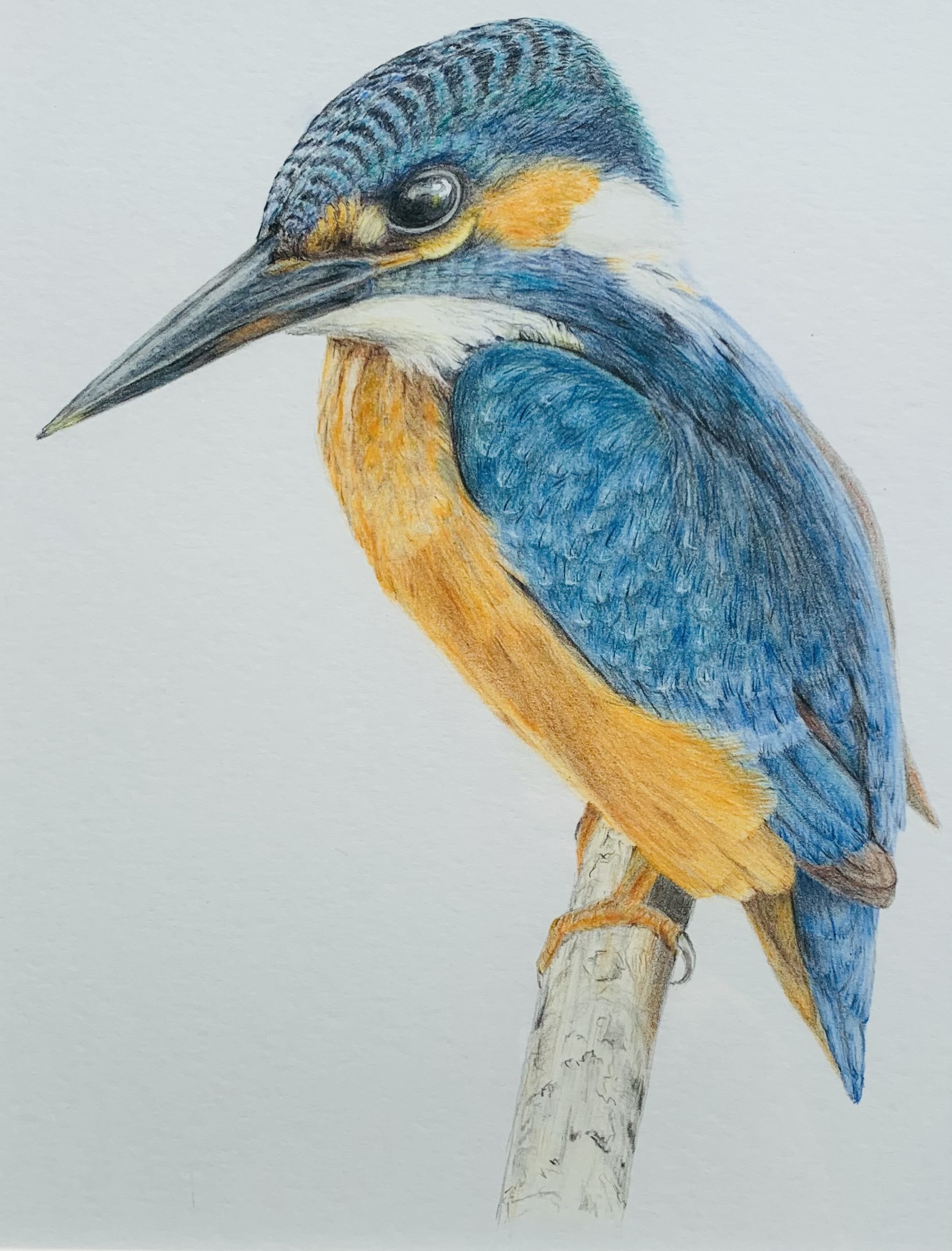 ‘Patience’ - Original