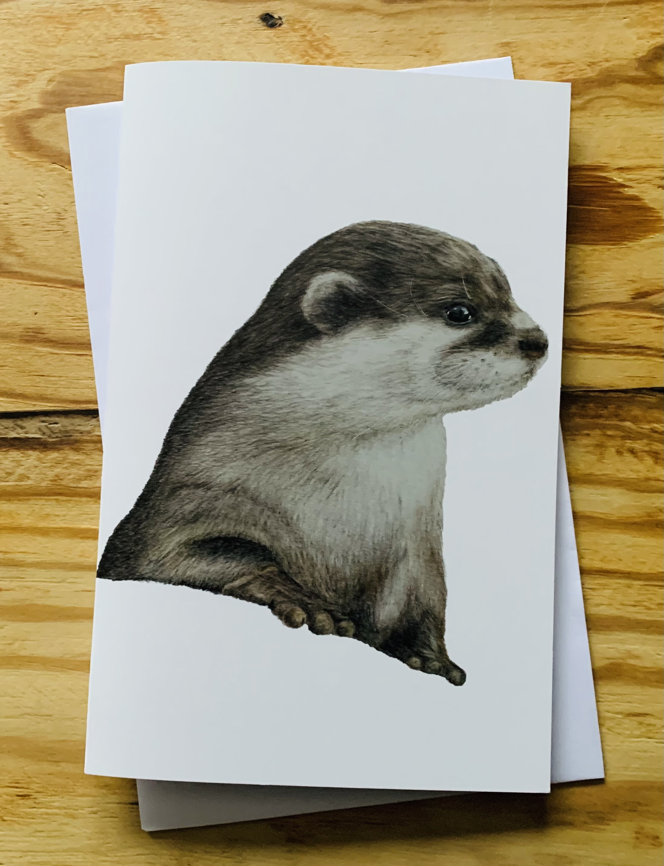 Otter card