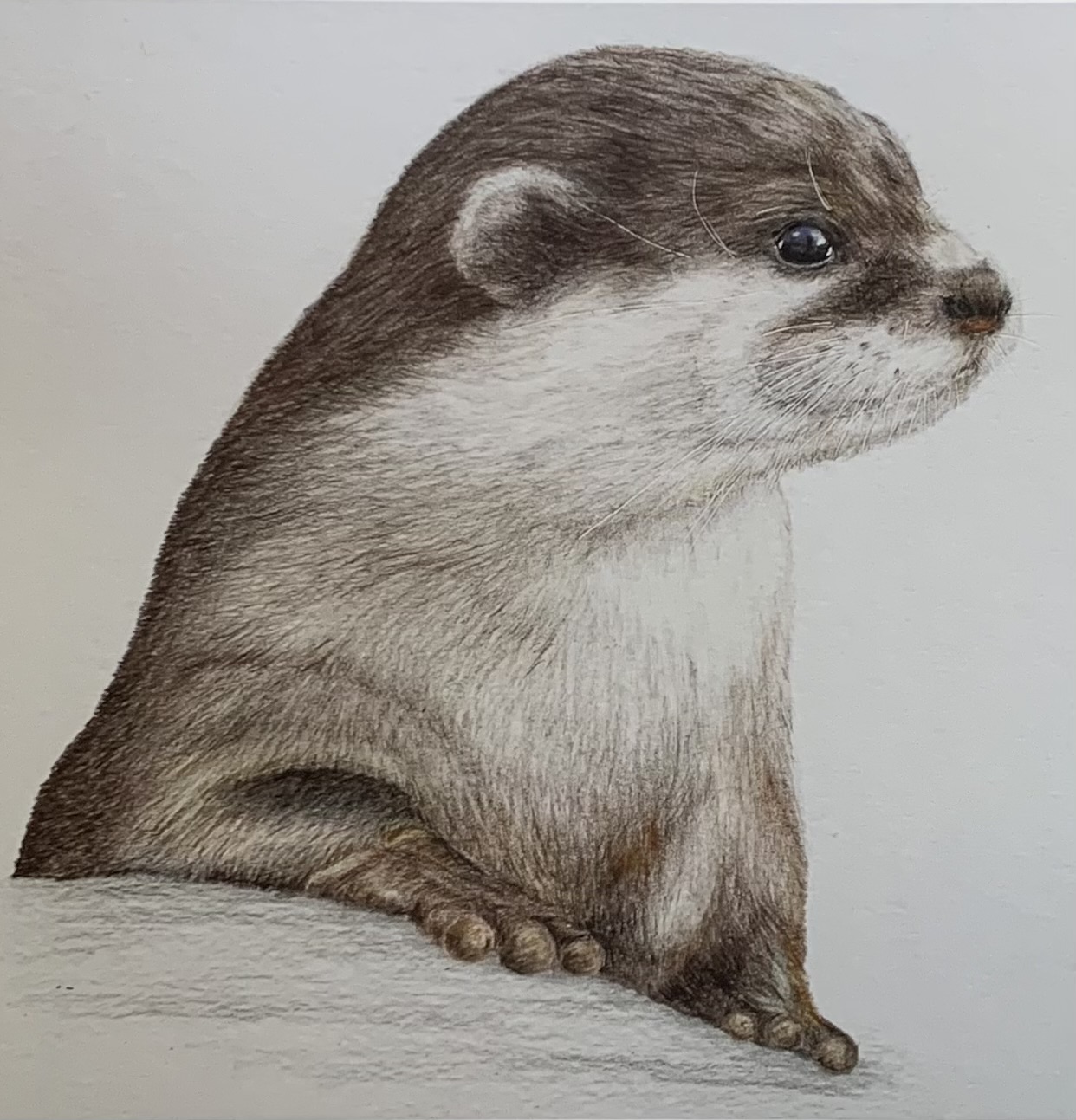 ‘Alert’ - Original