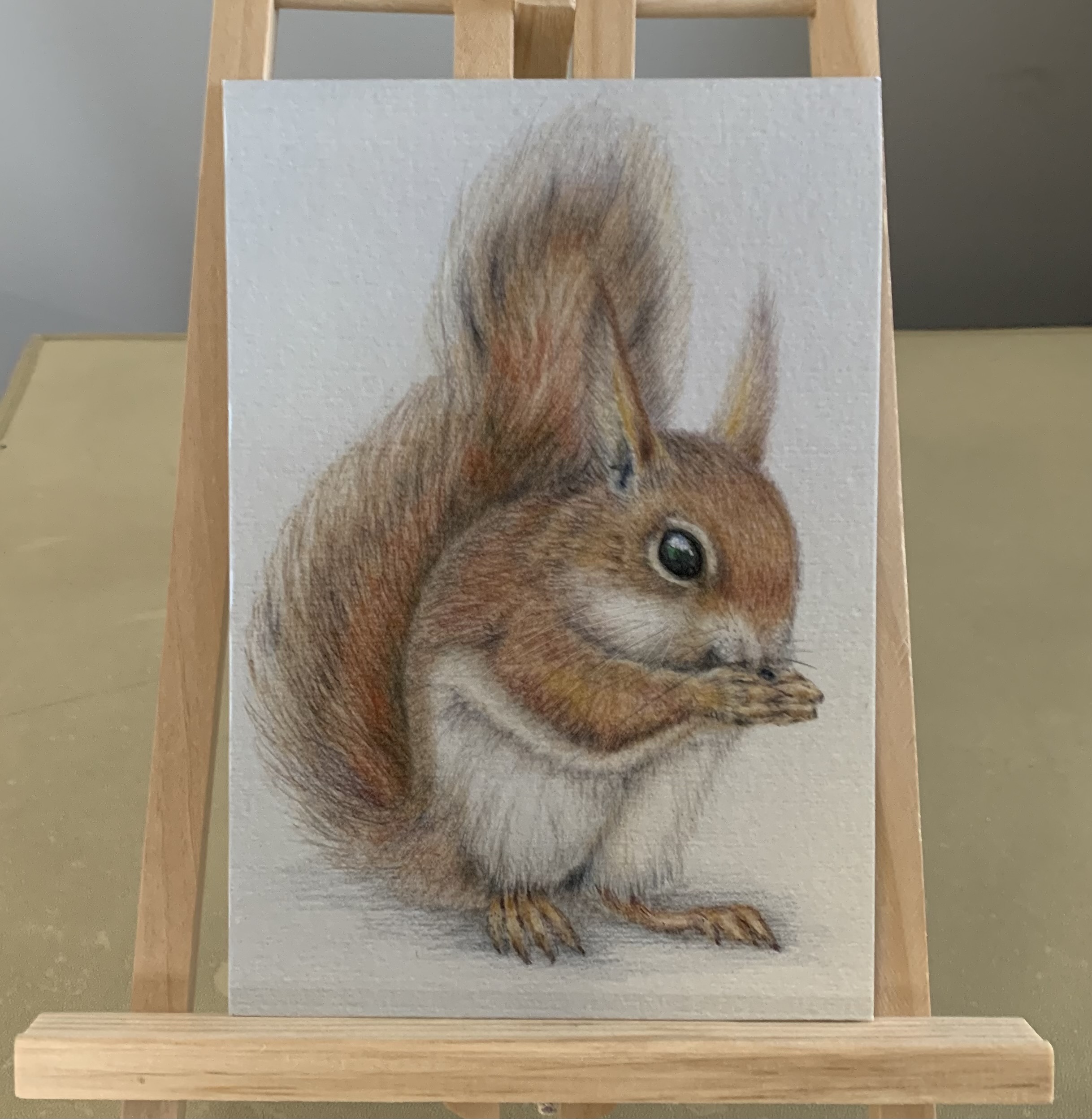 Red Squirrel print