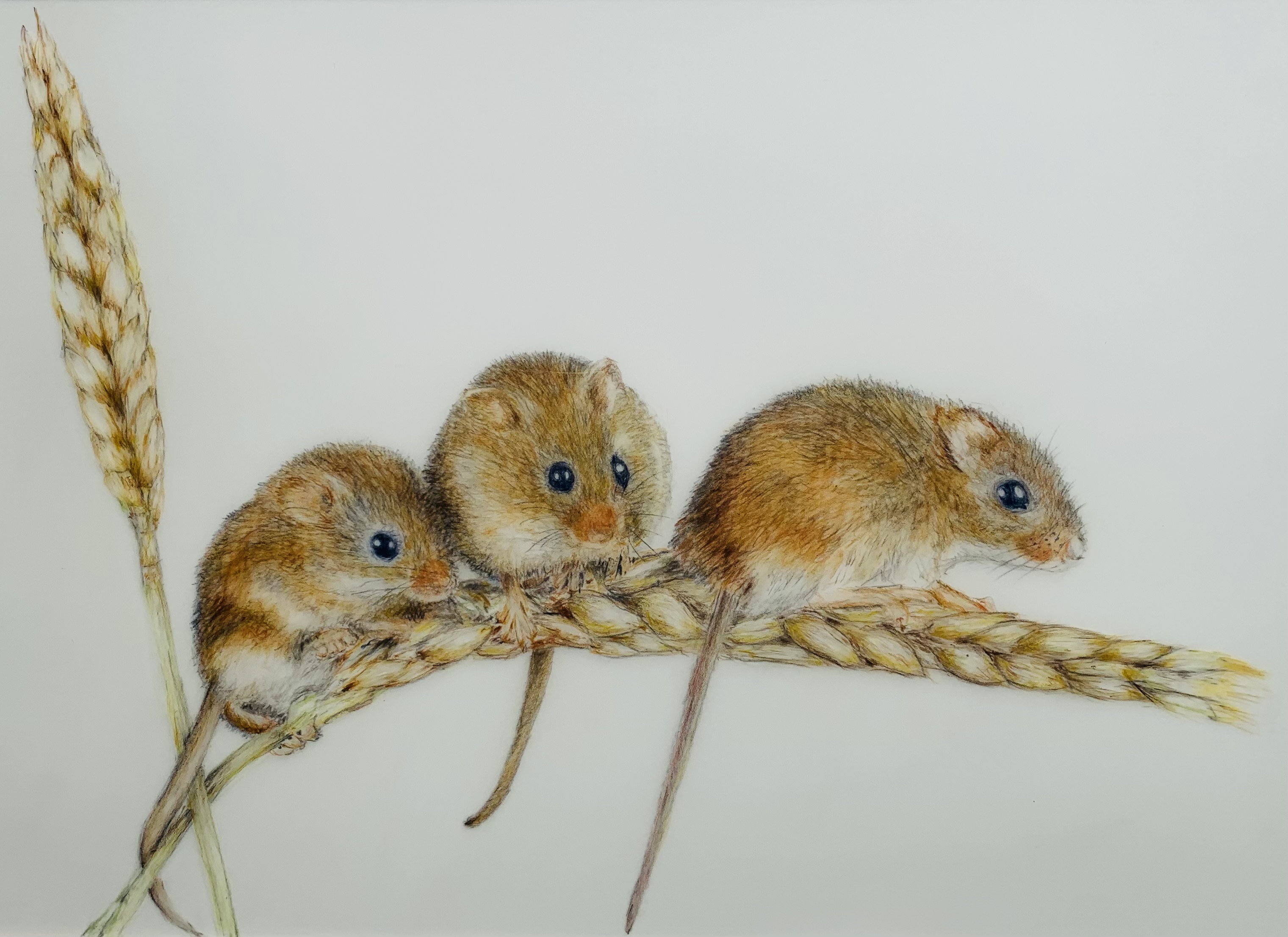 ‘Balancing’ Print