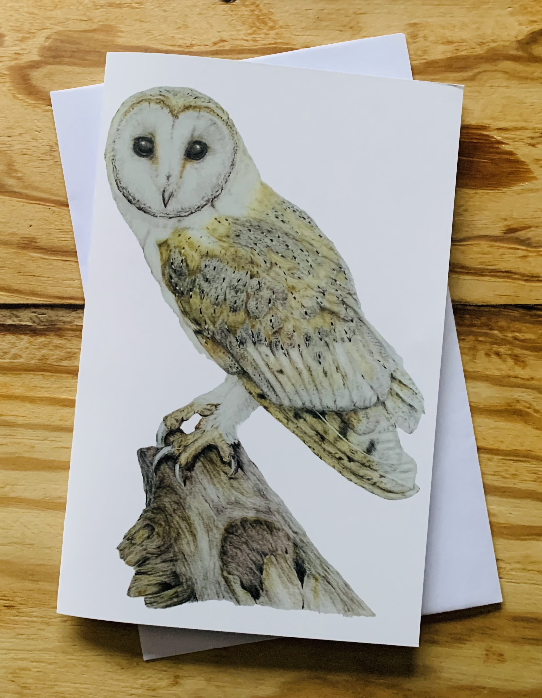 Barn Owl card