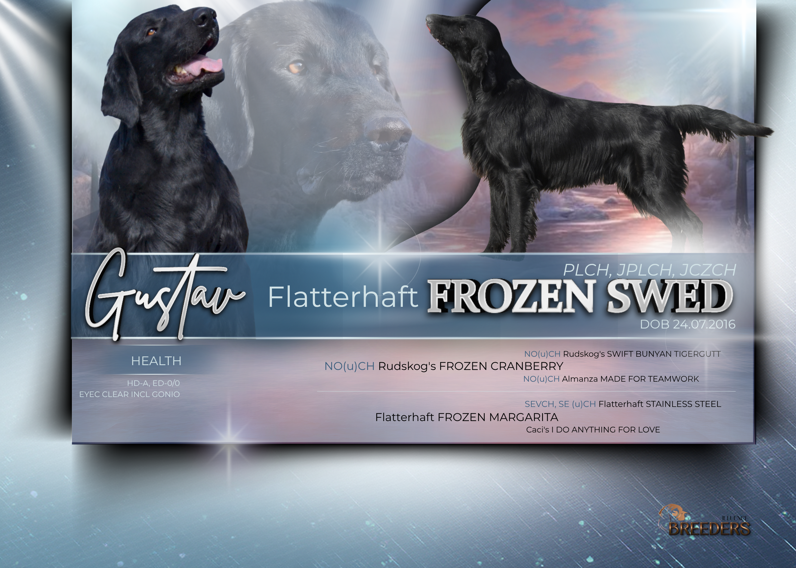 FULL KENNEL BRANDING BUNDLE