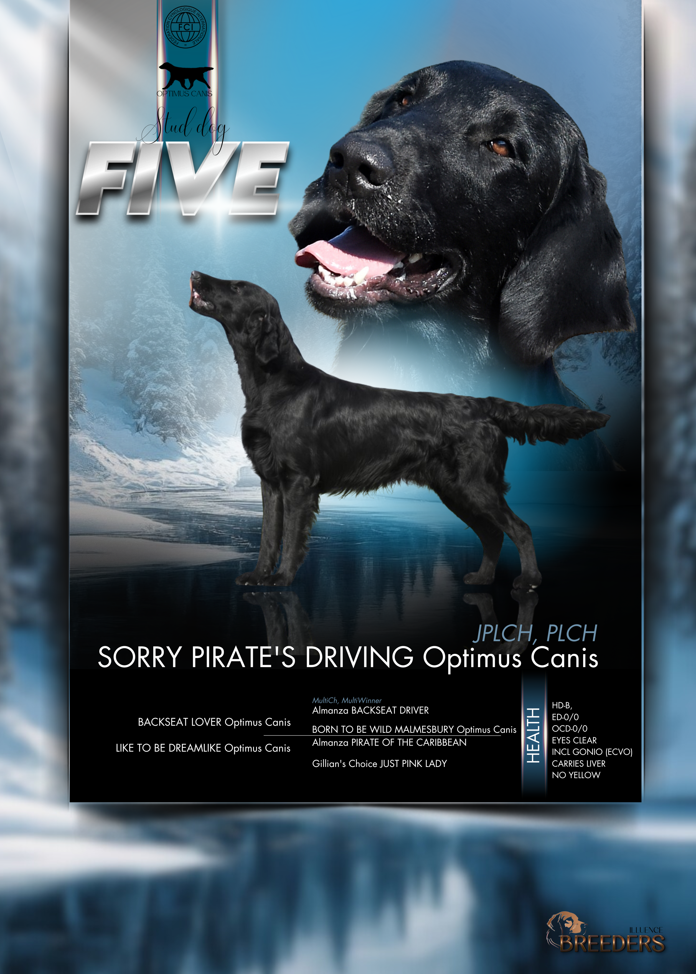 FULL KENNEL BRANDING BUNDLE