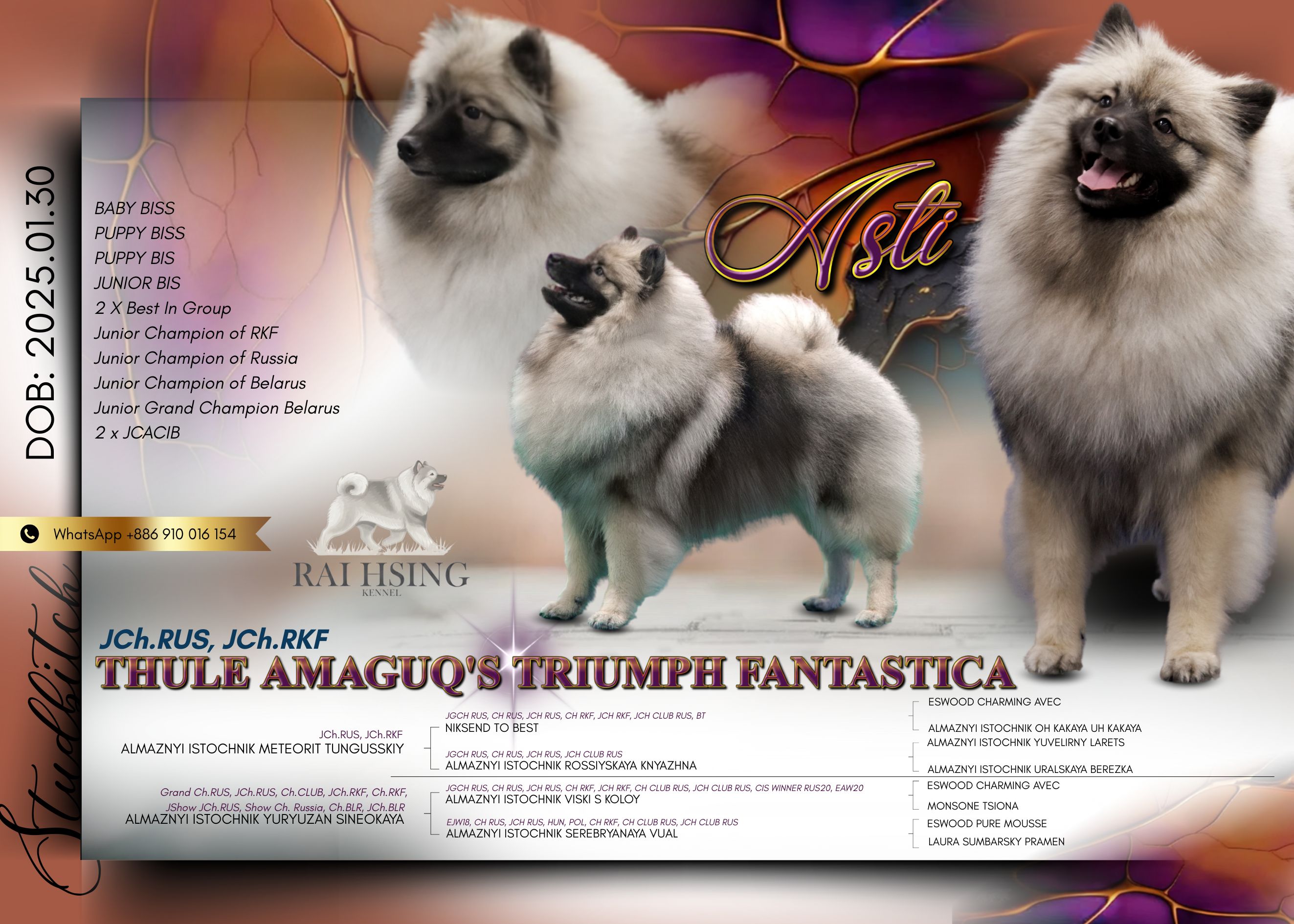 STUDDOG/BITCH POSTER