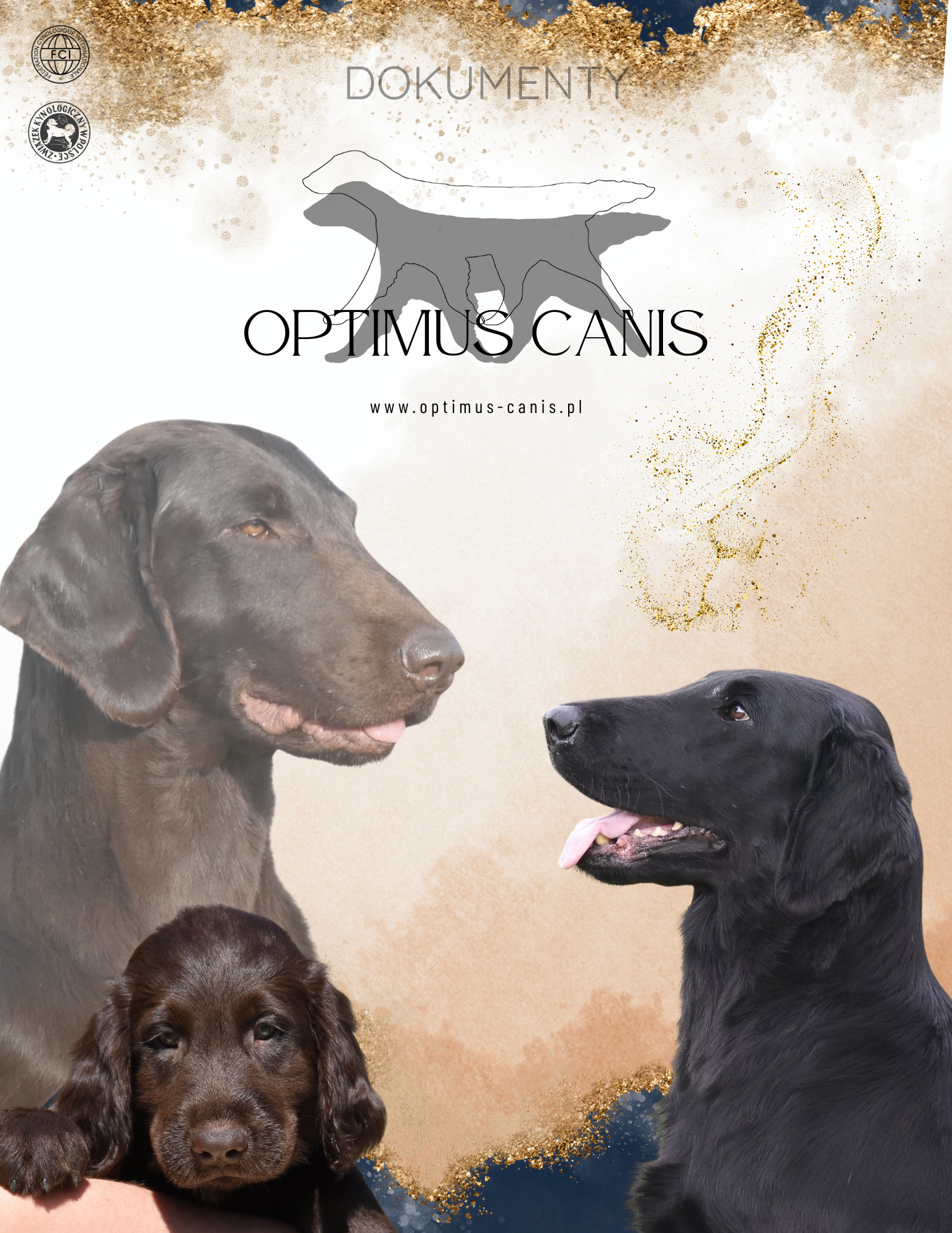 FULL KENNEL BRANDING BUNDLE