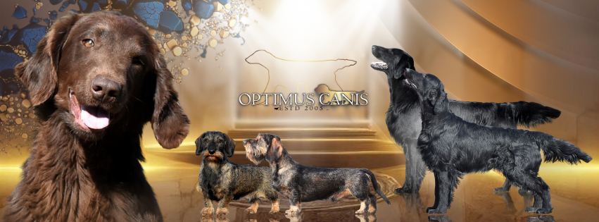 Web banner/Facebook cover