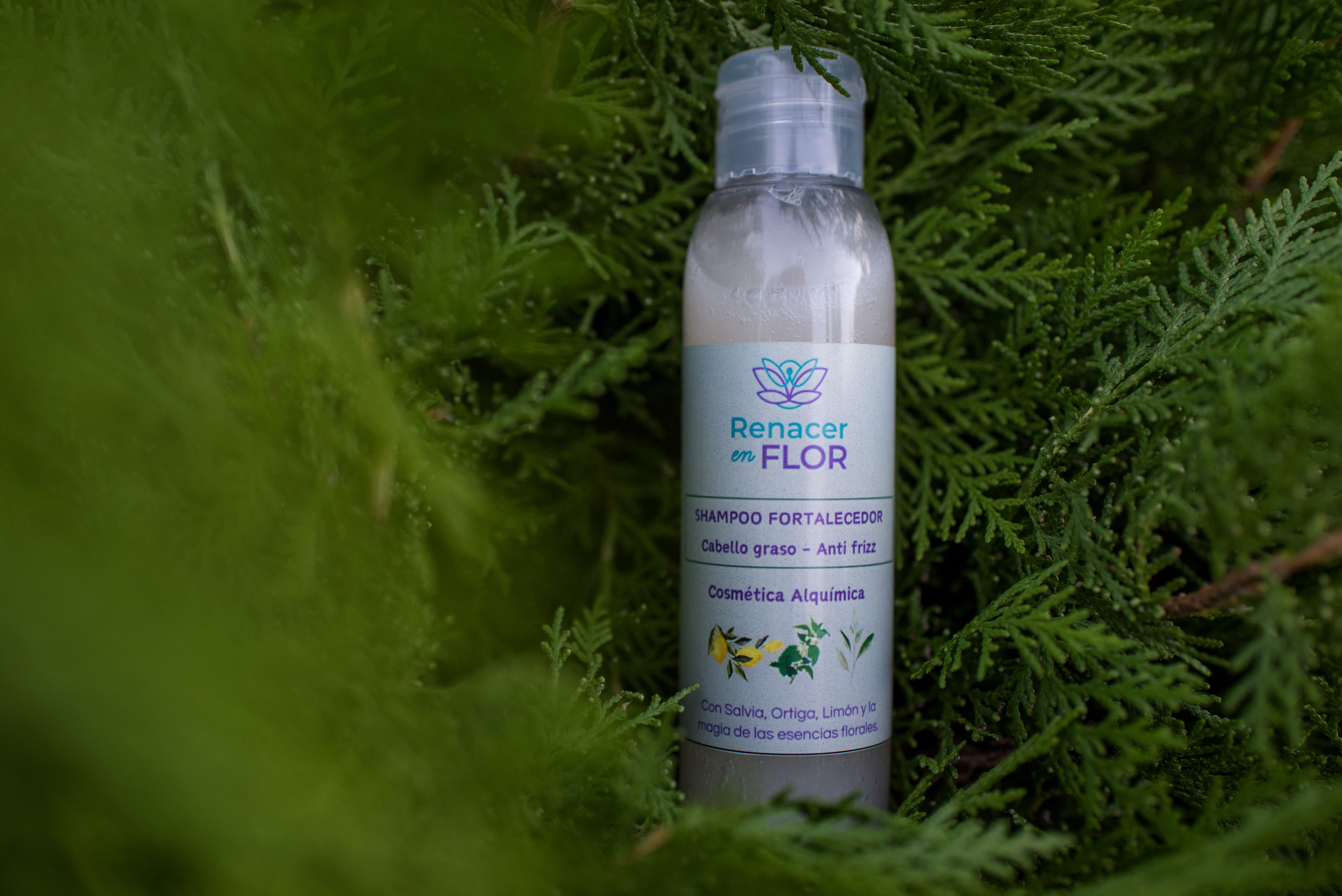 Shampoo Fortalecedor                          125 ml