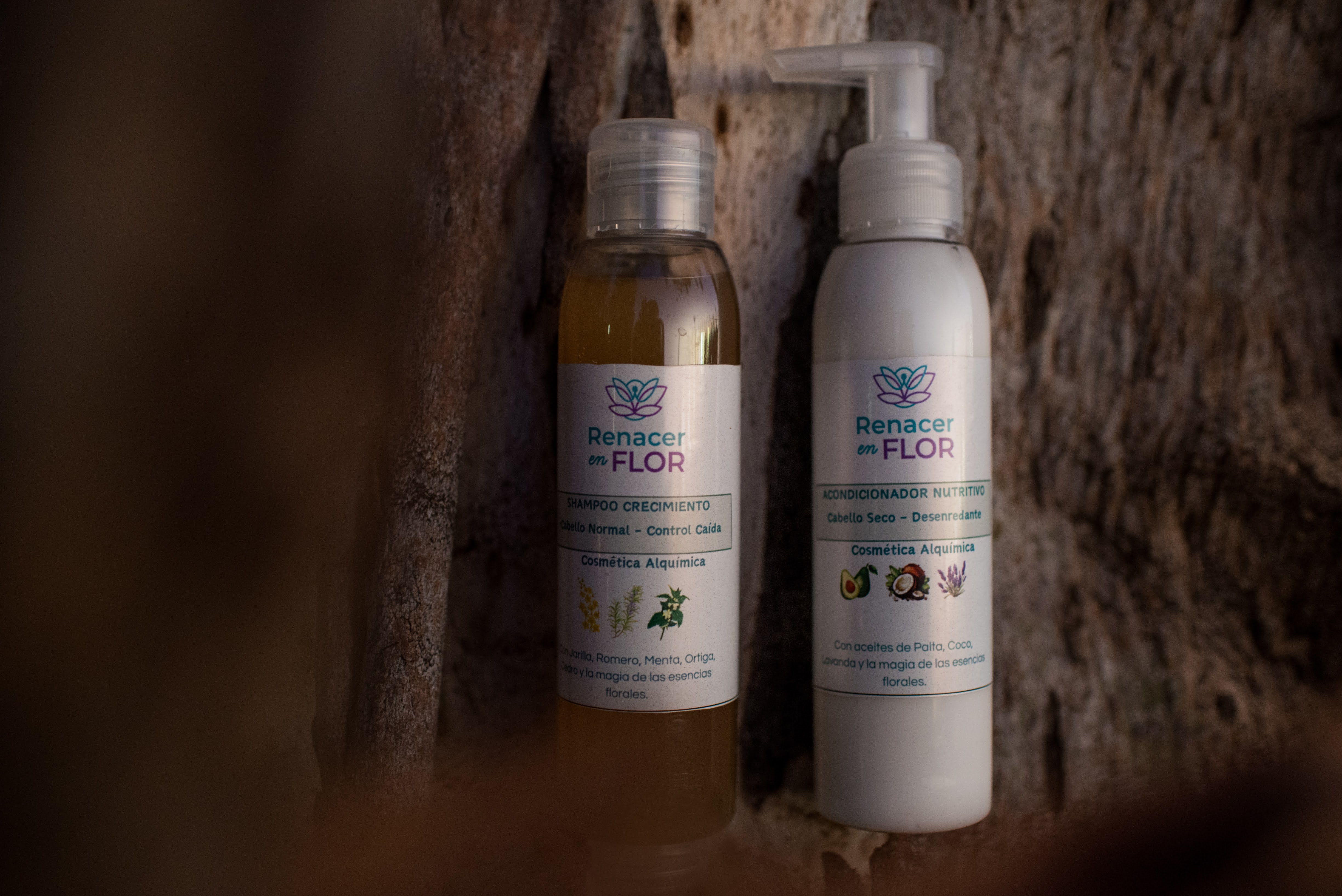 Shampoo +  Acondicionador