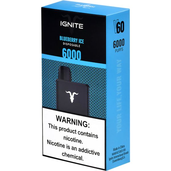 IGNITE 6000 PUFFS BLUEBERRY ICE