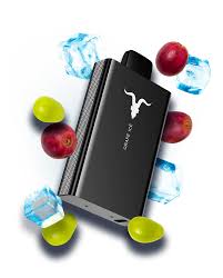 IGNITE 8000PF UVA MENTA (GRAPE ICE)