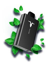 IGNITE 8000PF MENTOL (MENTHOL)