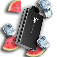 IGNITE 8000PF SANDÍA MENTA (WATERMELON ICE)