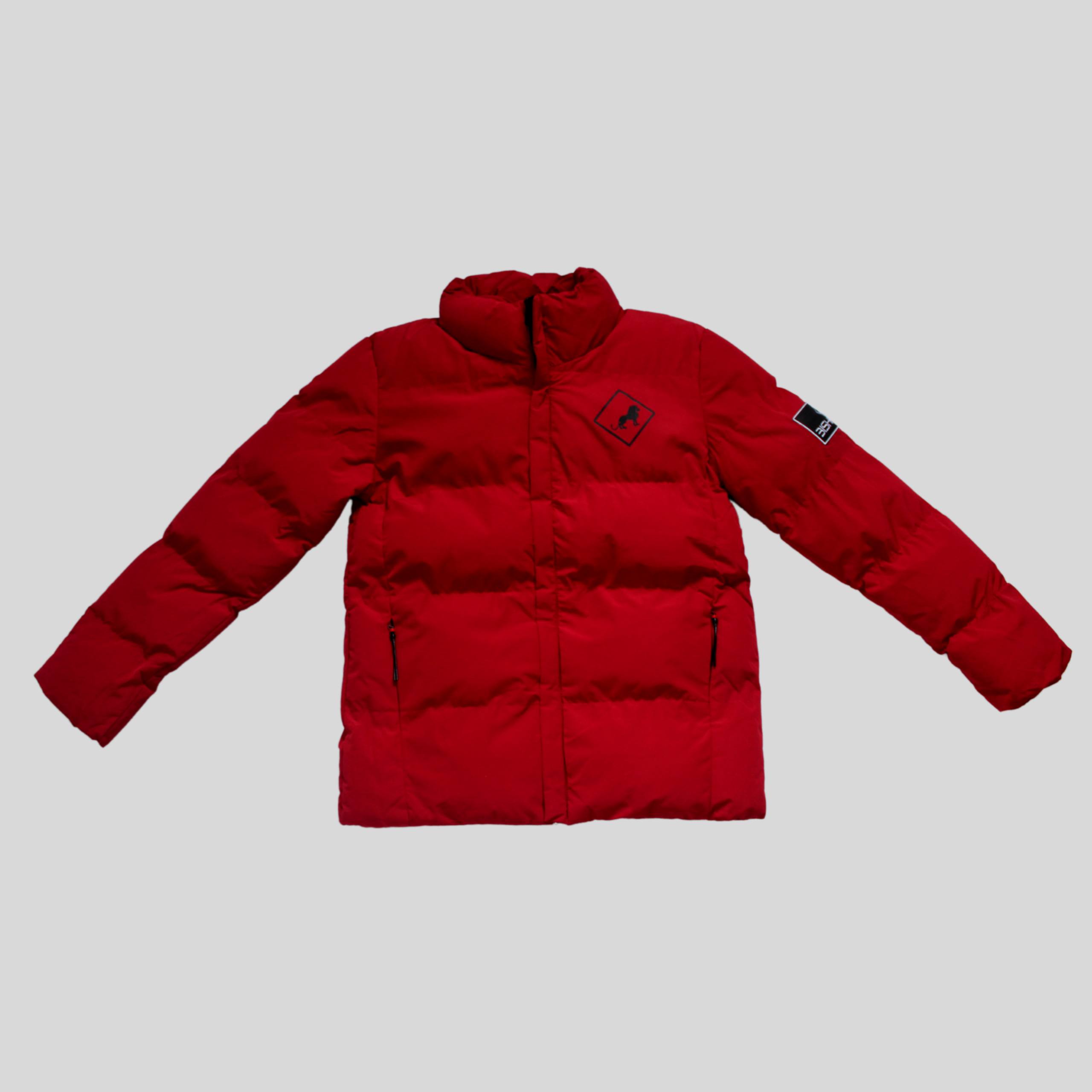 Bishaash Puffer Jacket