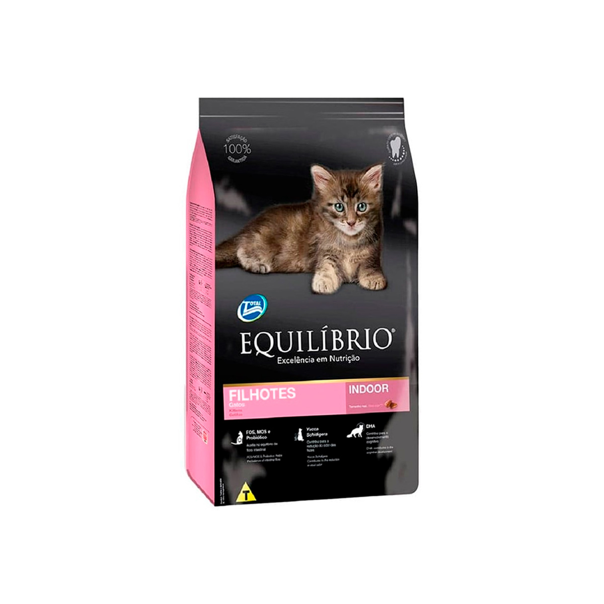 Equilibrio Gato Filhote