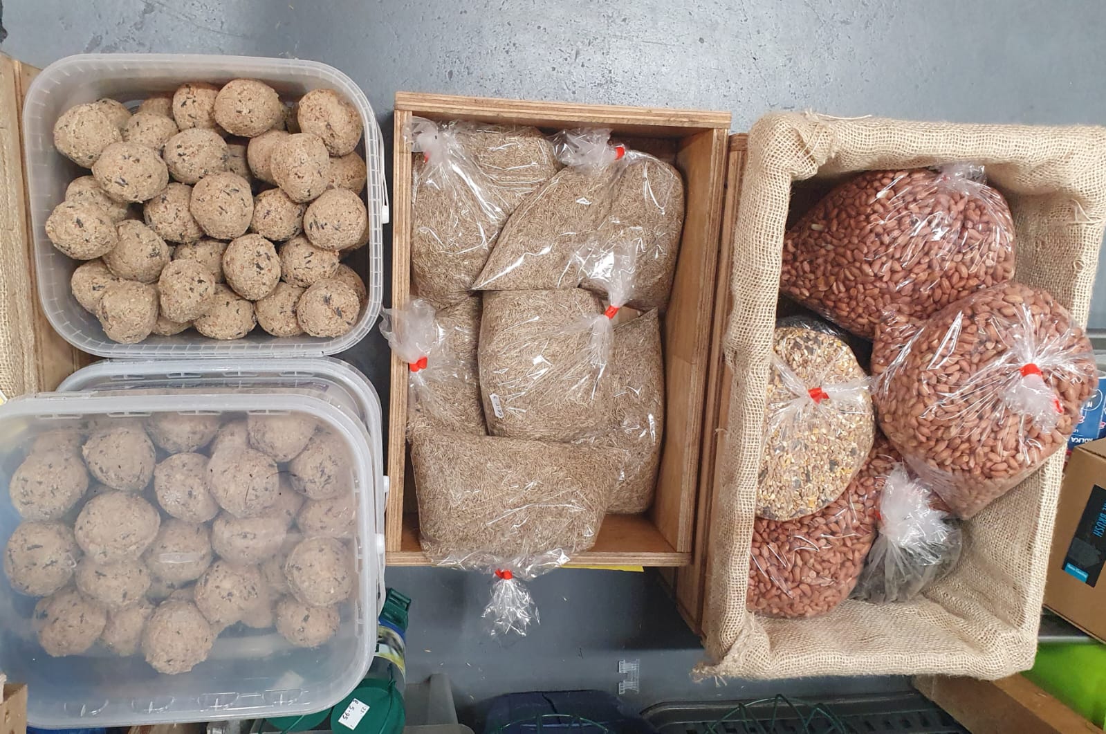 Bird Feeders & Bird Feed