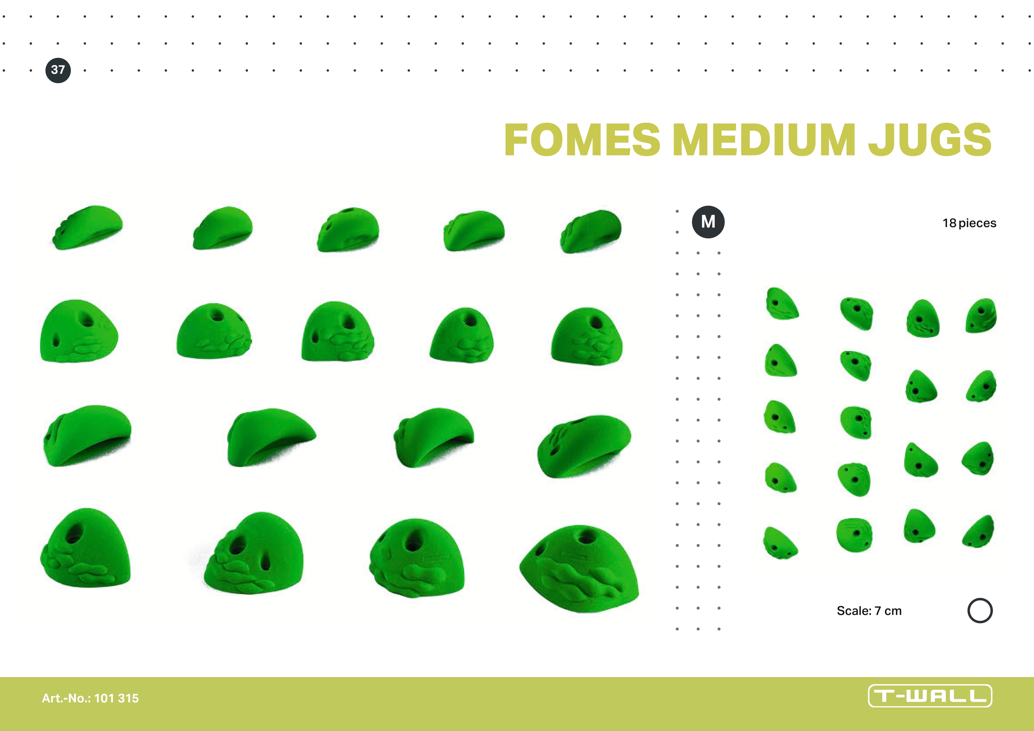 T-WALL FOMES MEDIUM JUGS