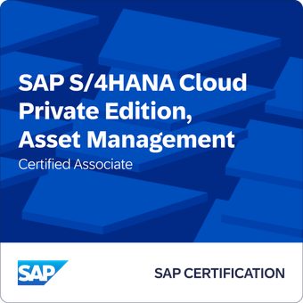 SAP S/4HANA Cloud Private Edition, Gestion des actifs