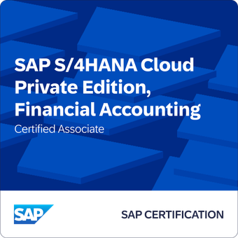 SAP S/4HANA Cloud Private Edition, Comptabilité financière