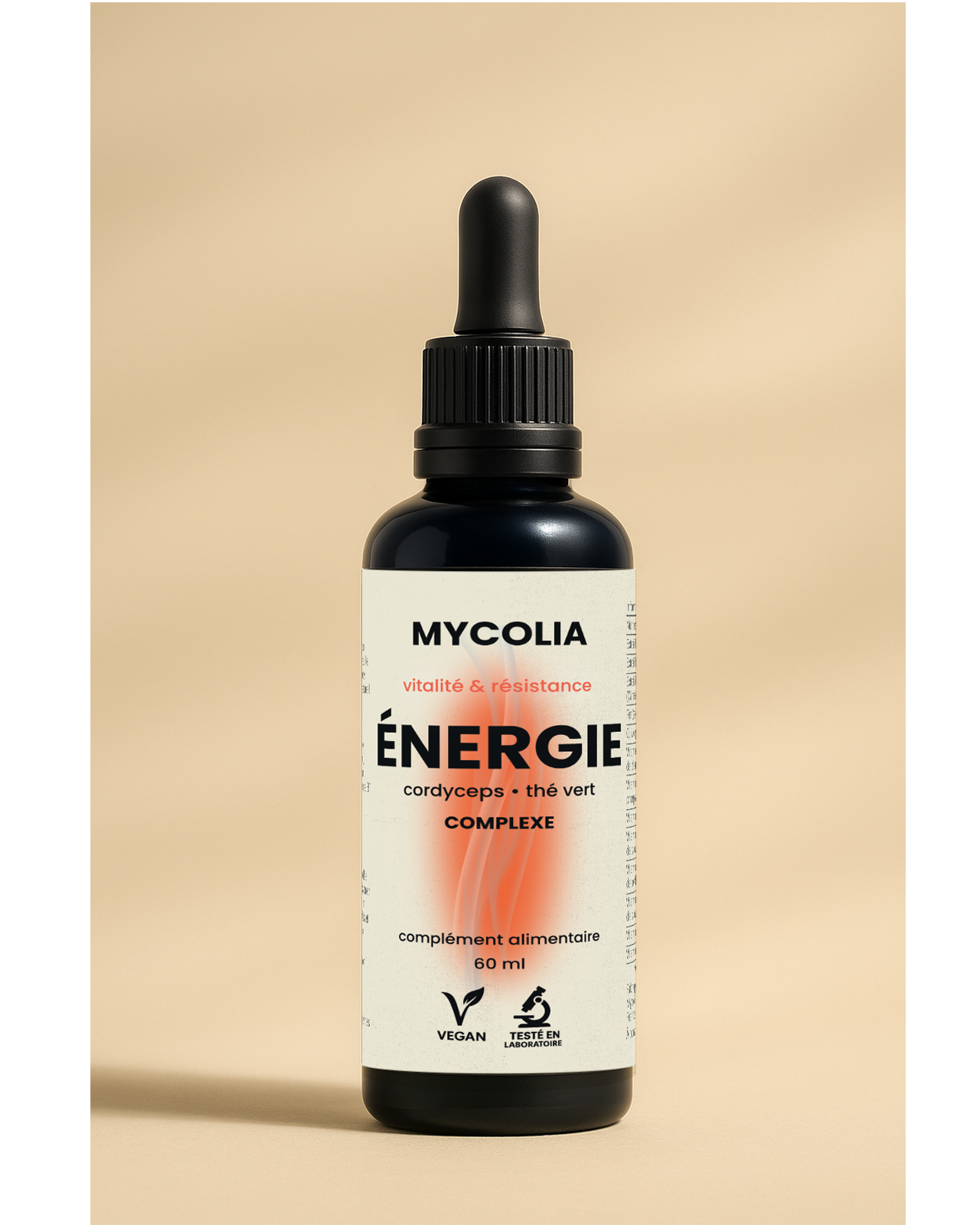 FOCUS — concentration & mémoire