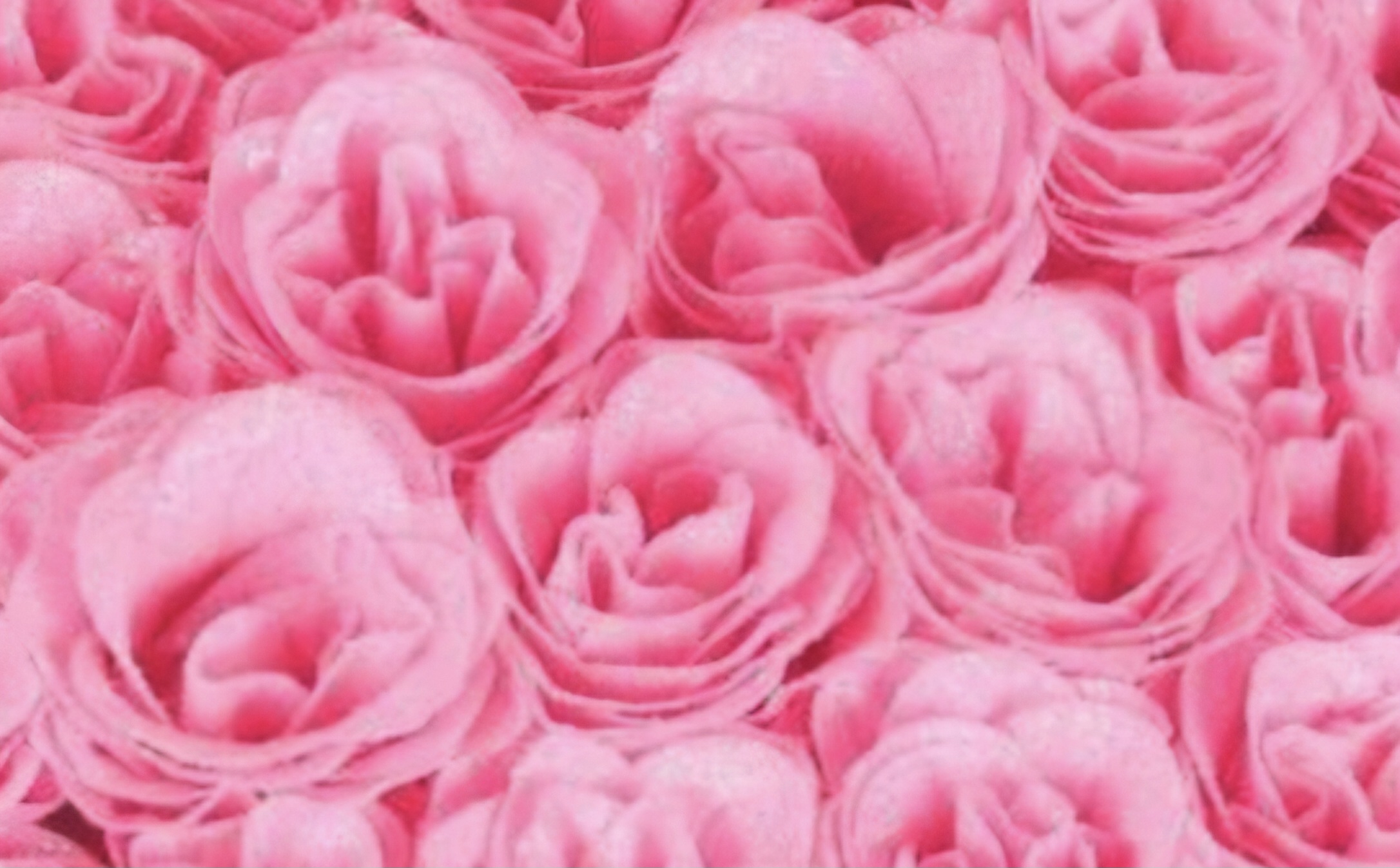 Bouquet de 10 à 50 rose, rose bonbon pailleté, plastifié