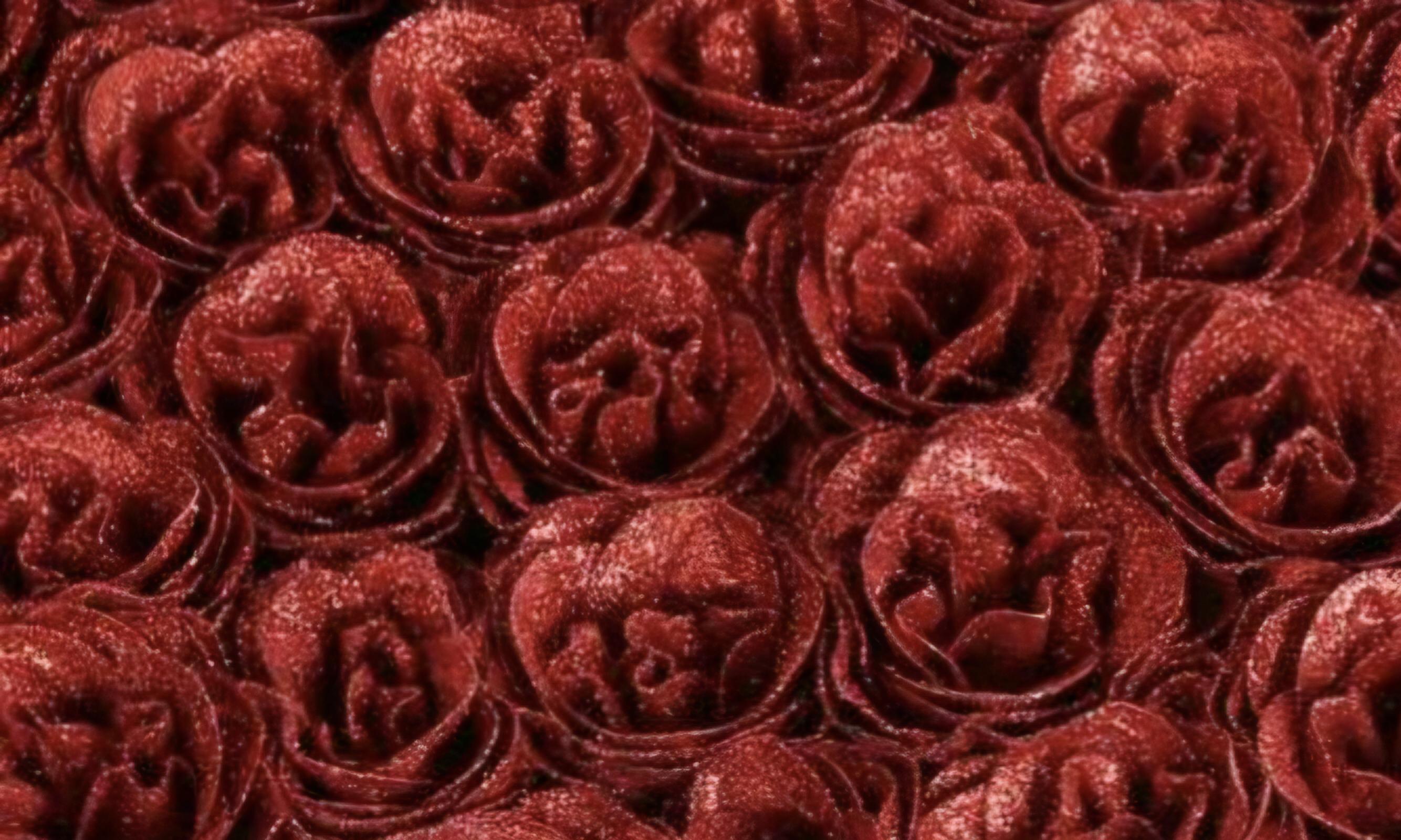Bouquet de 10 à 50 rose rouge foncé pailleté plastifié