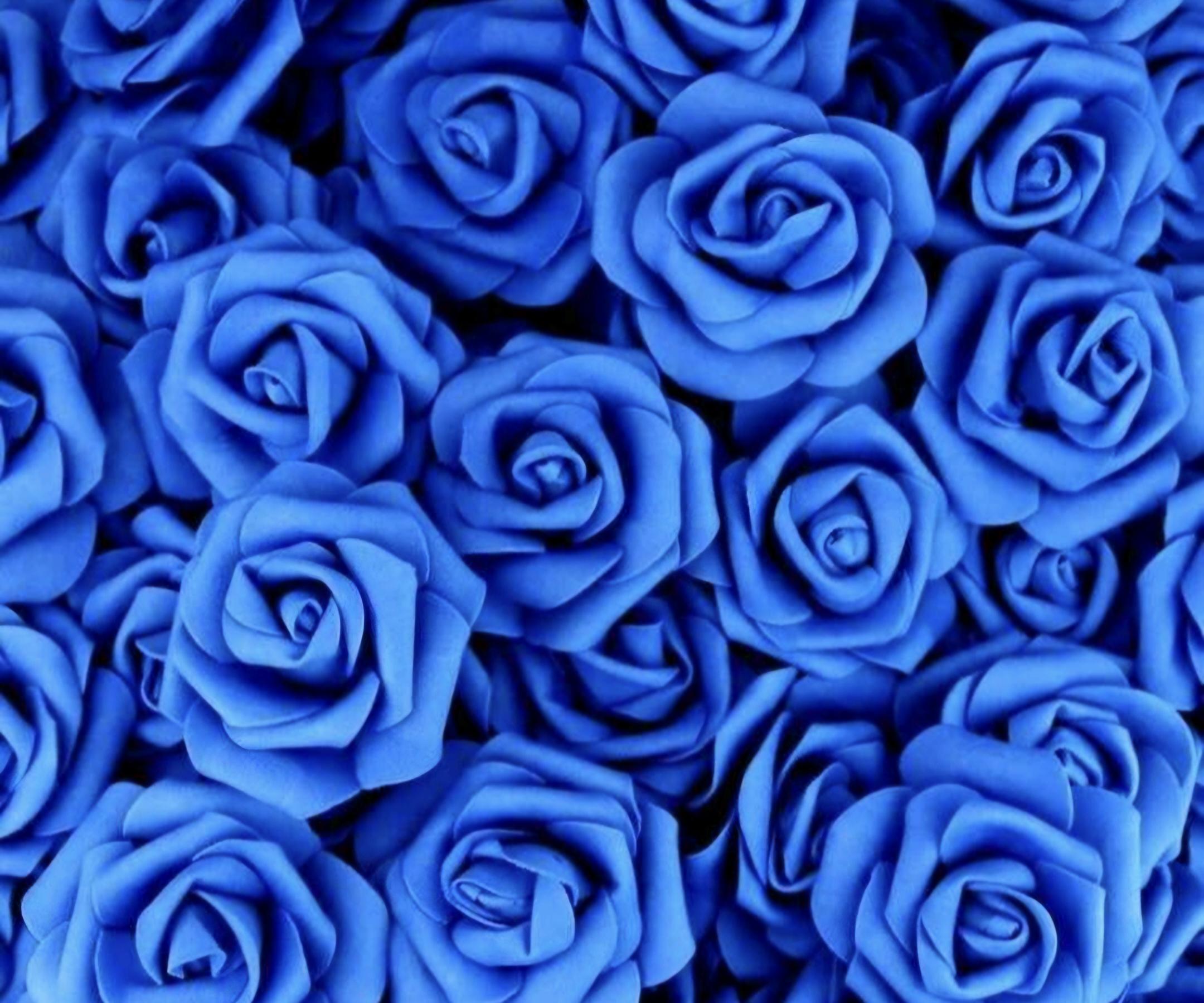Bouquet de 10 à 50 rose bleu indigo mousse réel au touché