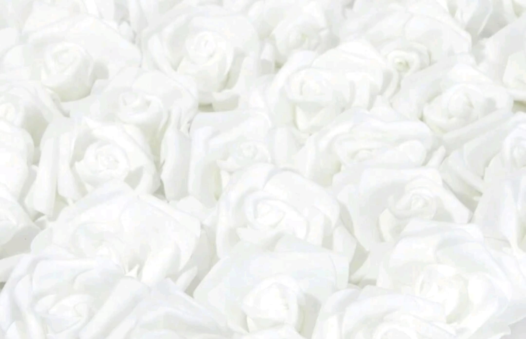 Bouquet de 10 à 50 rose blanche mousse réel au touché