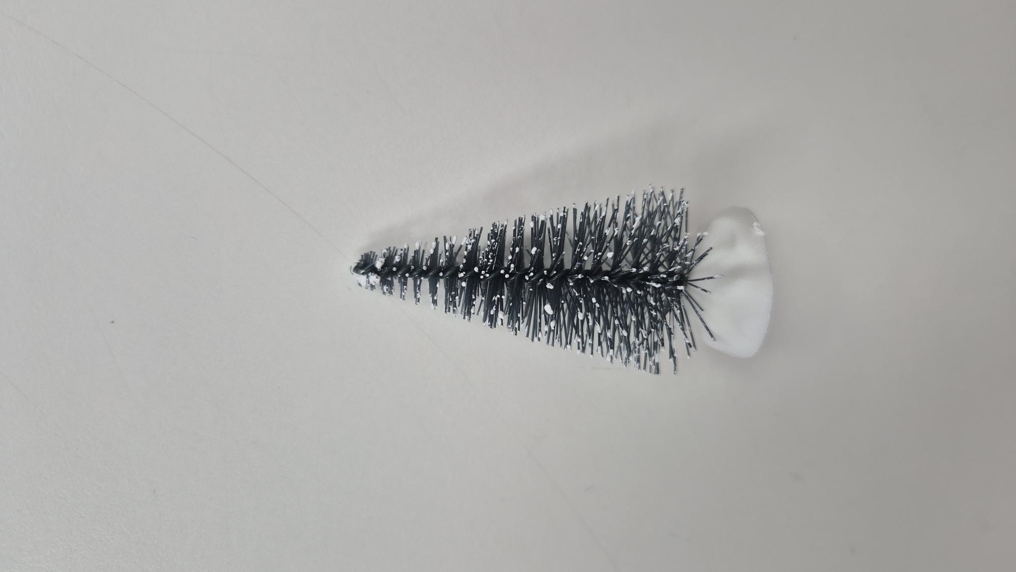 sapin grand, moyen, petit