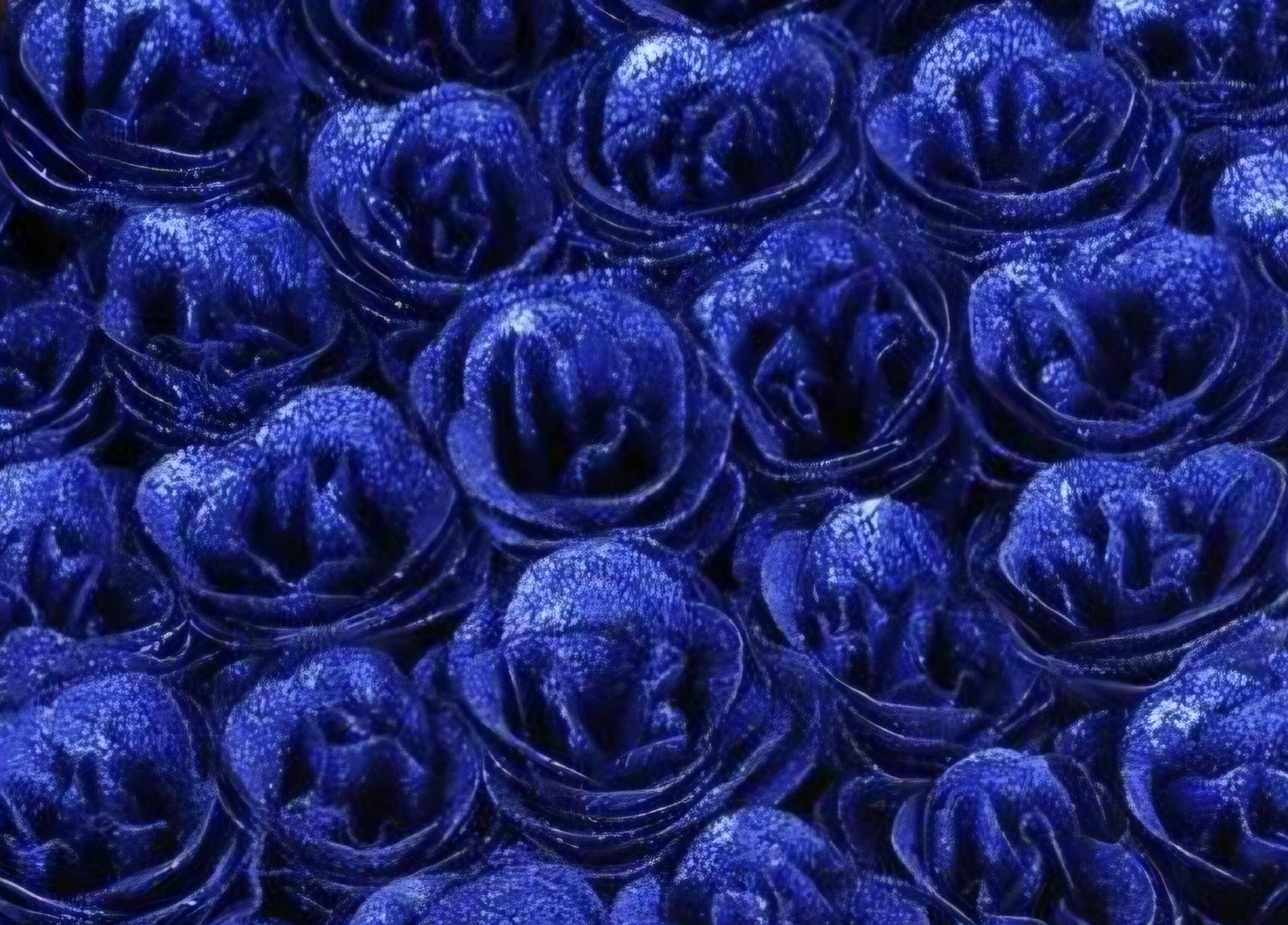 Bouquet de 10 à 50 rose bleu indigo pailleté, plastifié