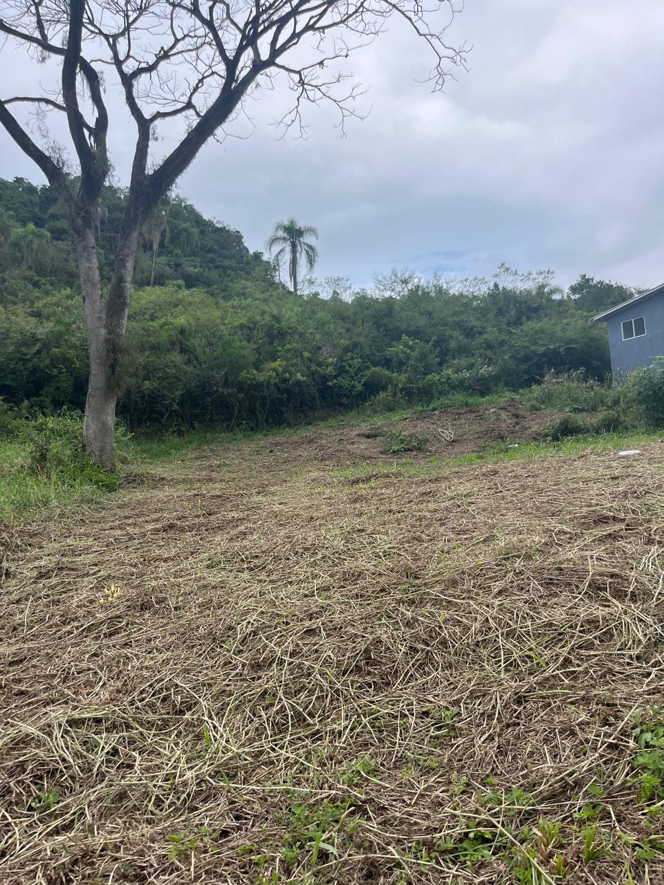 Terreno à venda - Lindolfo Collor/RS