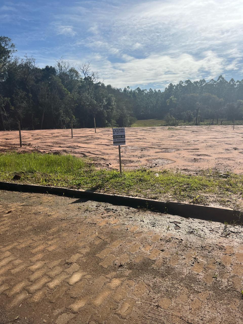 Terreno à venda em Lindolfo Collor