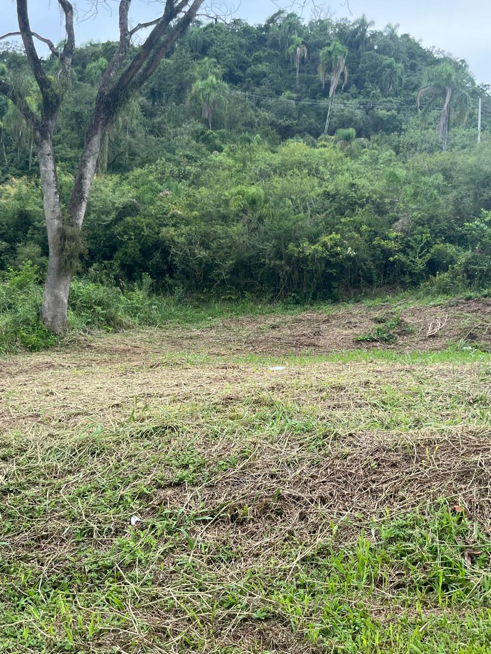Terreno à venda - Lindolfo Collor/RS