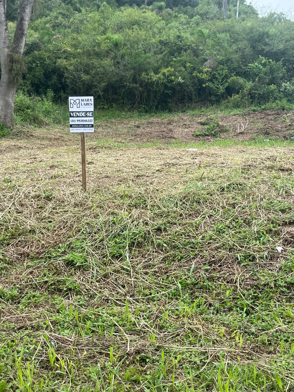 Terreno à venda - Lindolfo Collor/RS