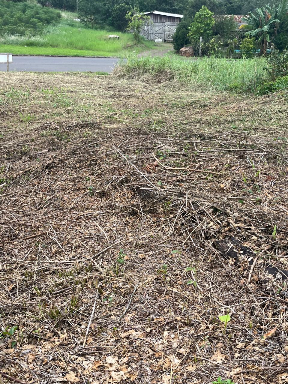 Terreno à venda - Lindolfo Collor/RS