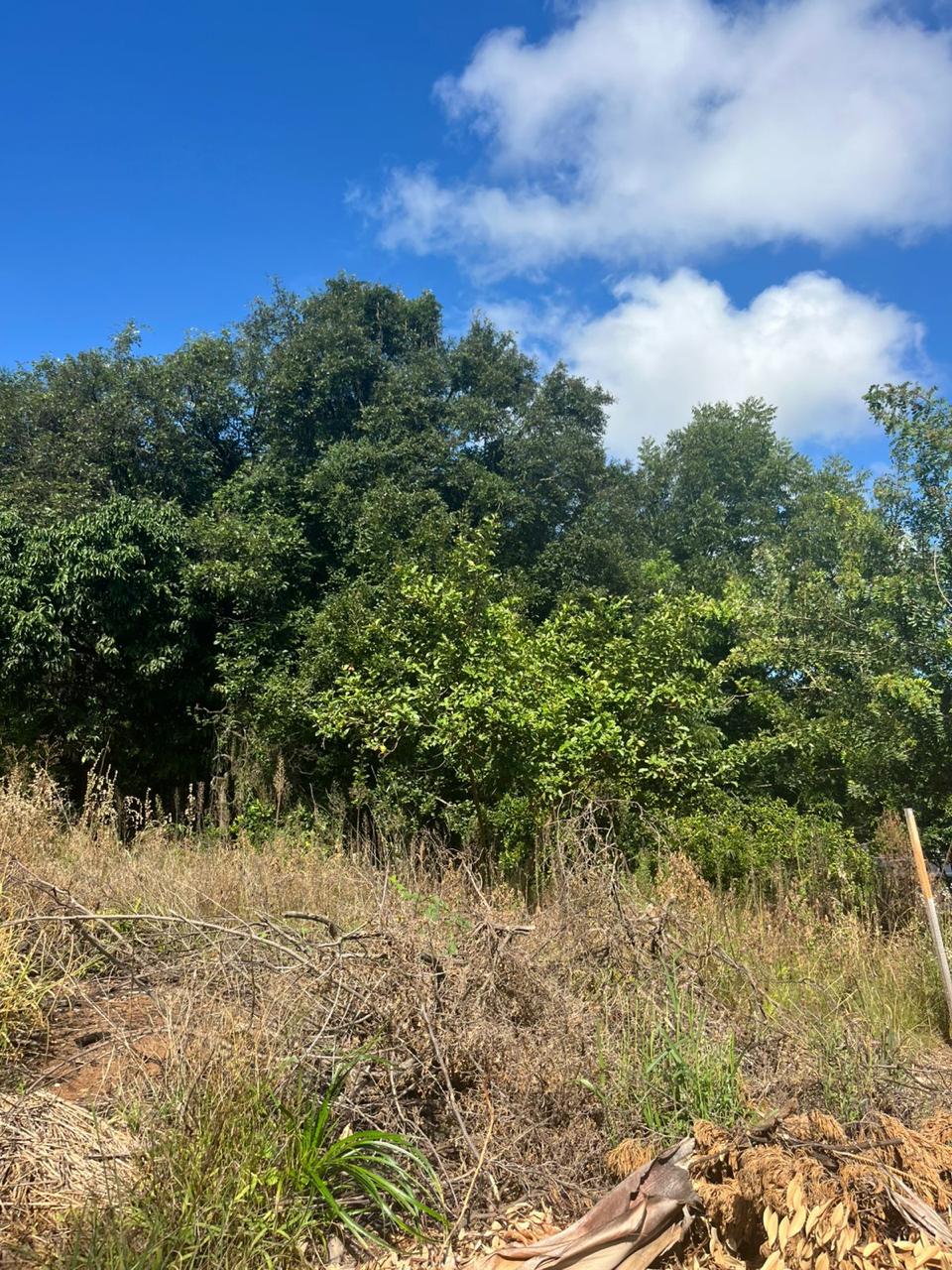Terreno à venda no bairro Jardim Panorâmico, Ivoti