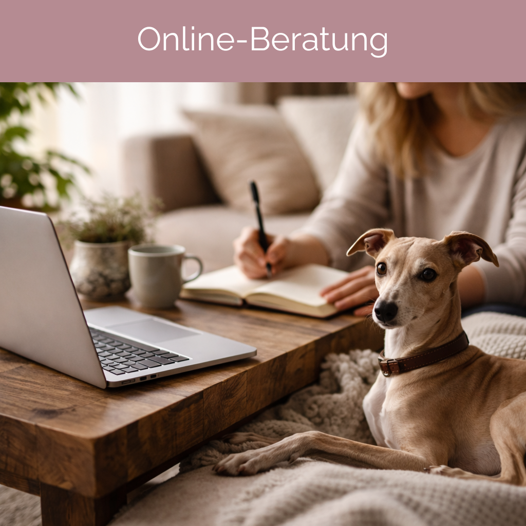 (Online-) Beratung Tiergesundheit