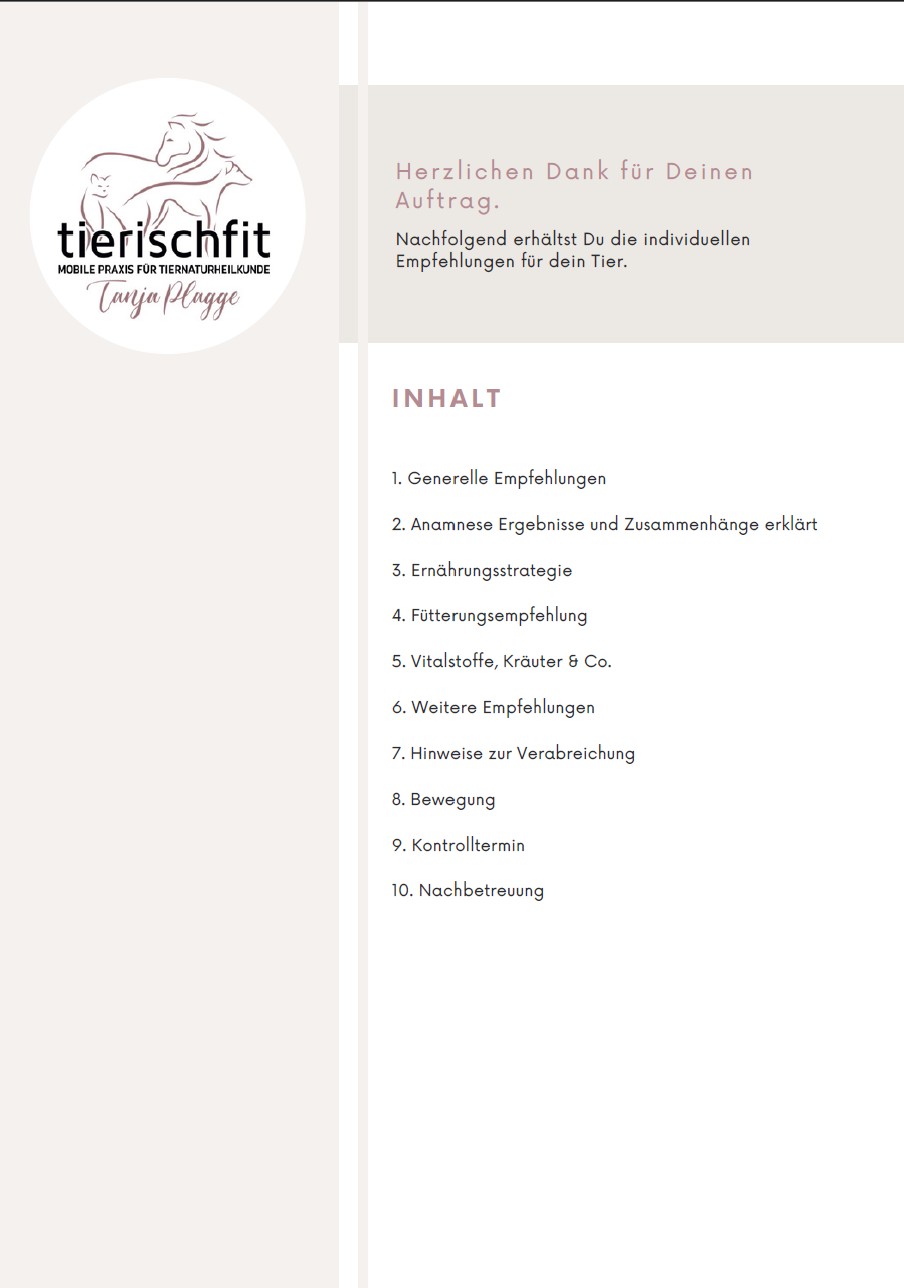 (Online-)Beratung Tiergesundheit