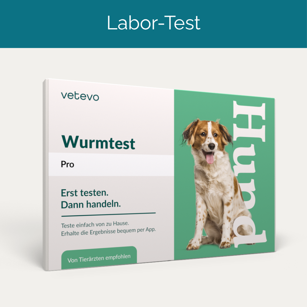 Wurmtest Pro Hund