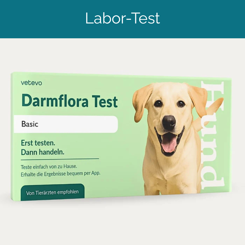 Darmflora Test Hund