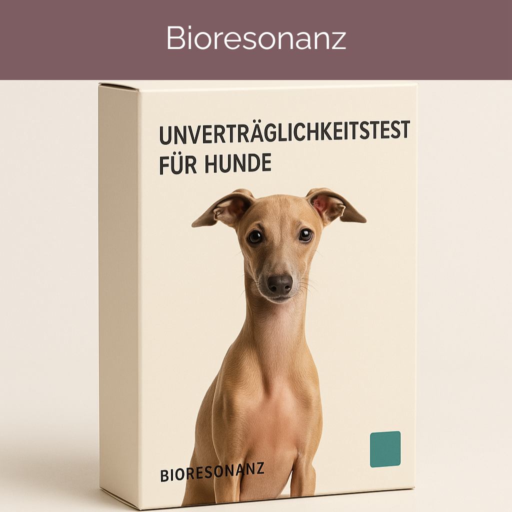 Unverträglichkeitstest für Hunde (Bioresonanz)