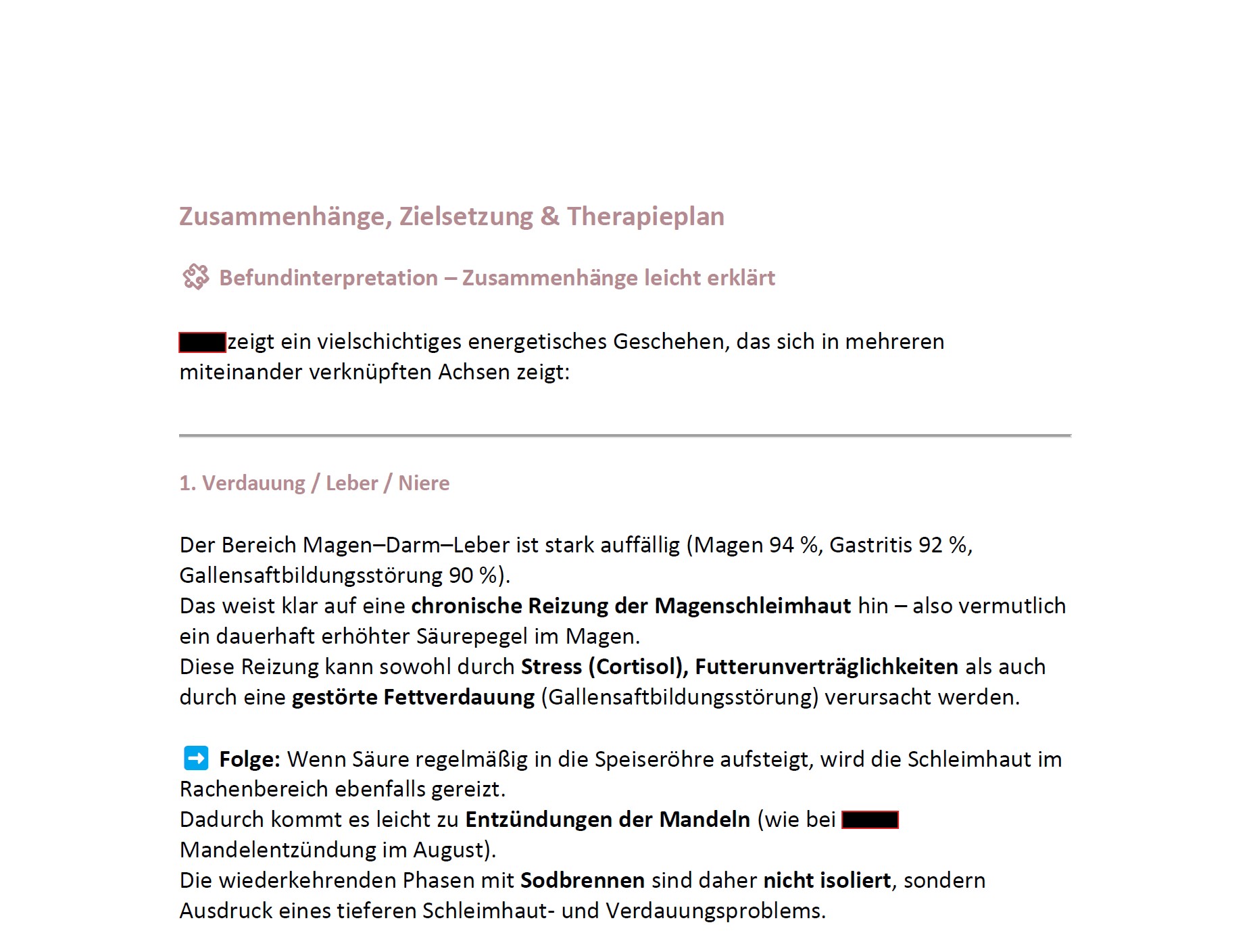 Gesundheitstest inkl. Beratung für Hunde (Bioresonanz)