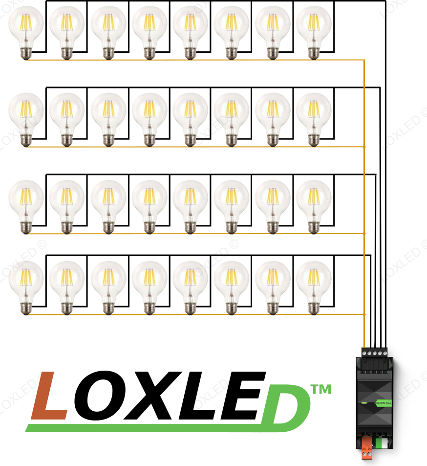 Ampoule LED E27 24V dimmable 6W G95 - 3000°K
