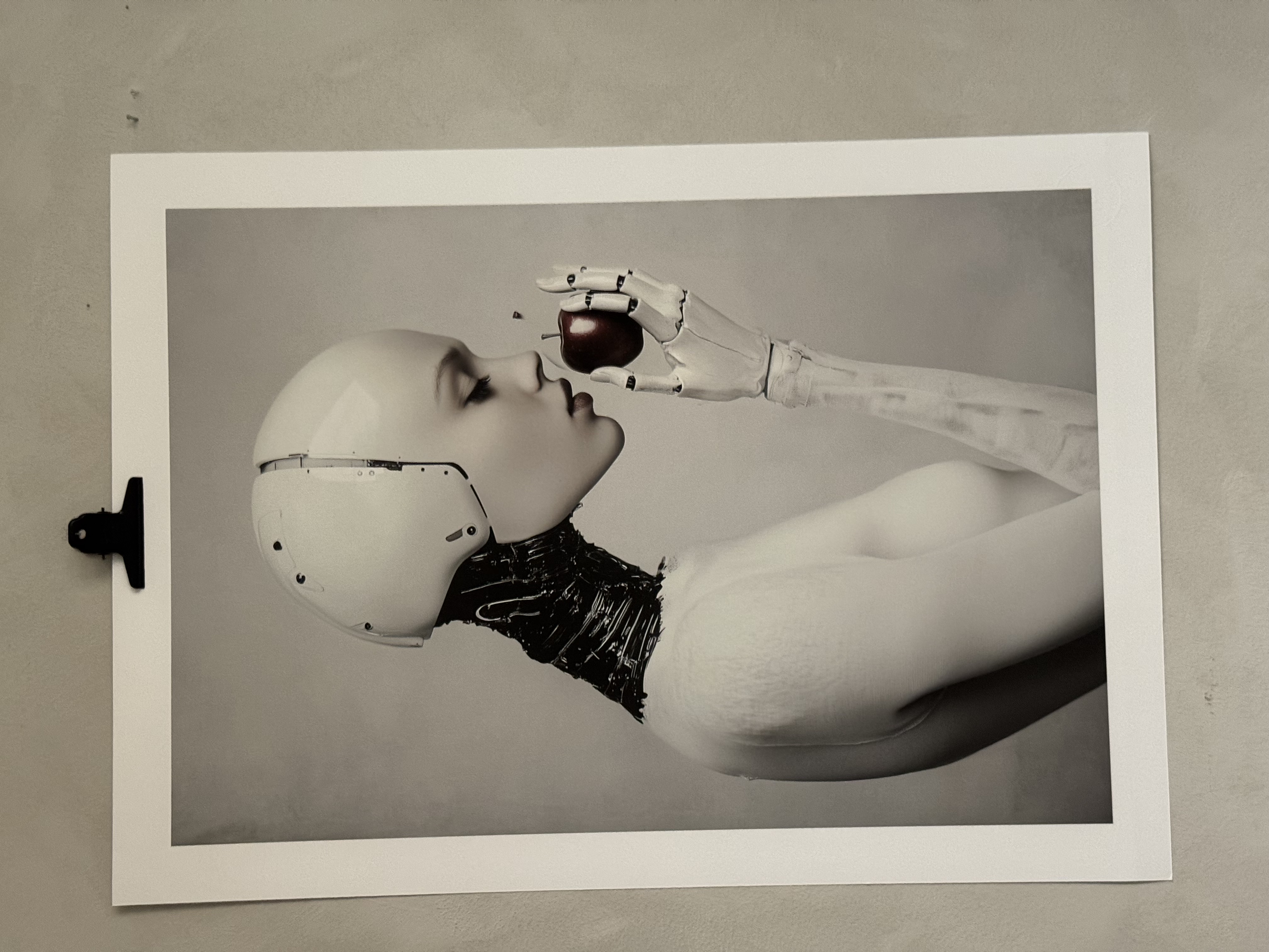 Provtryck för utställning  50x70  med litet fel i trycket