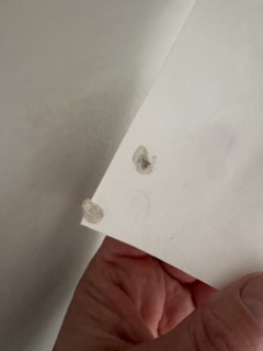 Äldre Love Warriors print Tyvek använt skick 100x100 cm - Limited - Förmodligen slutsålt