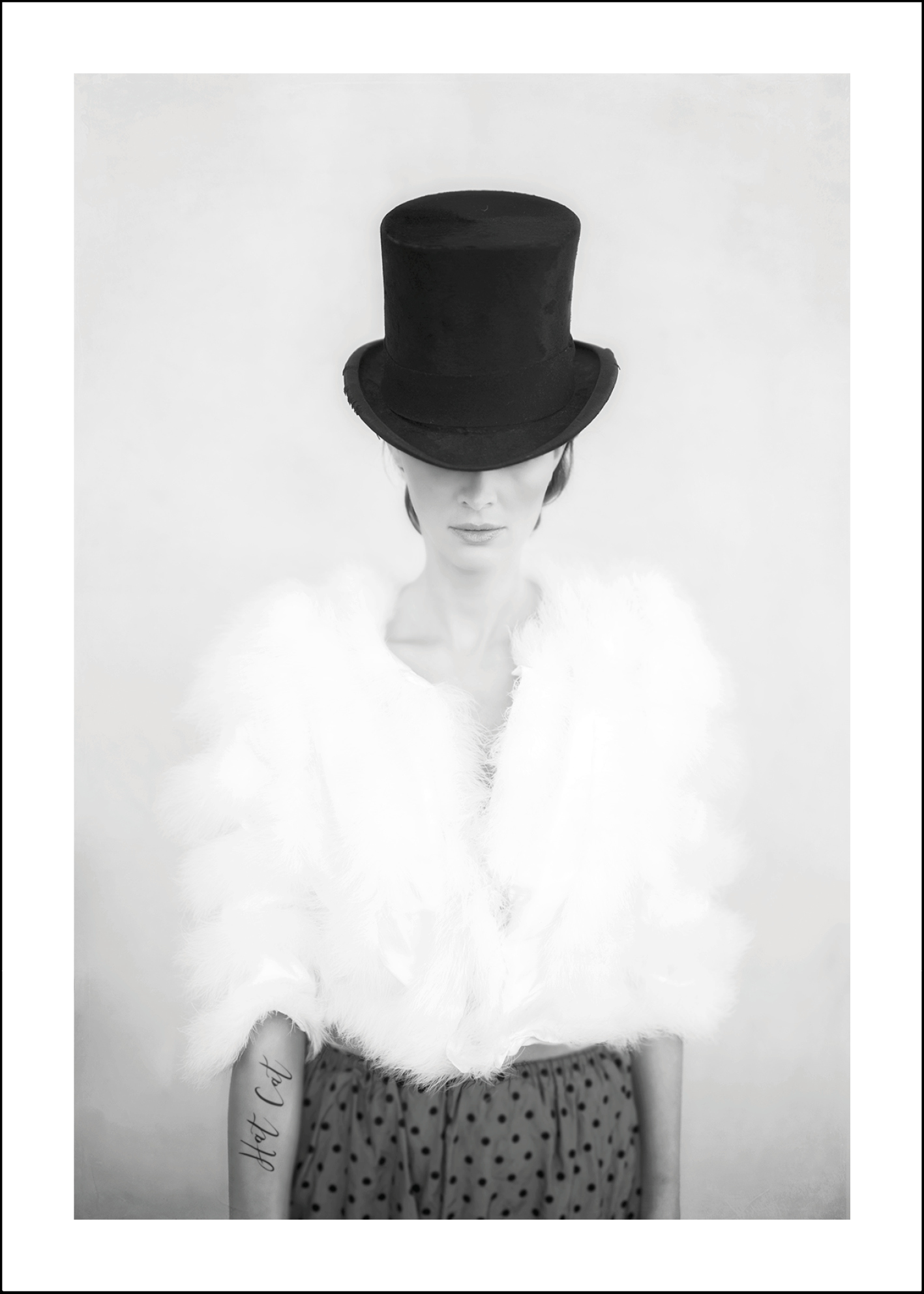 Hat Cat 50x70 - 2:a hands sortering, utställningsexemplar el med mindre skönhetsfel. 