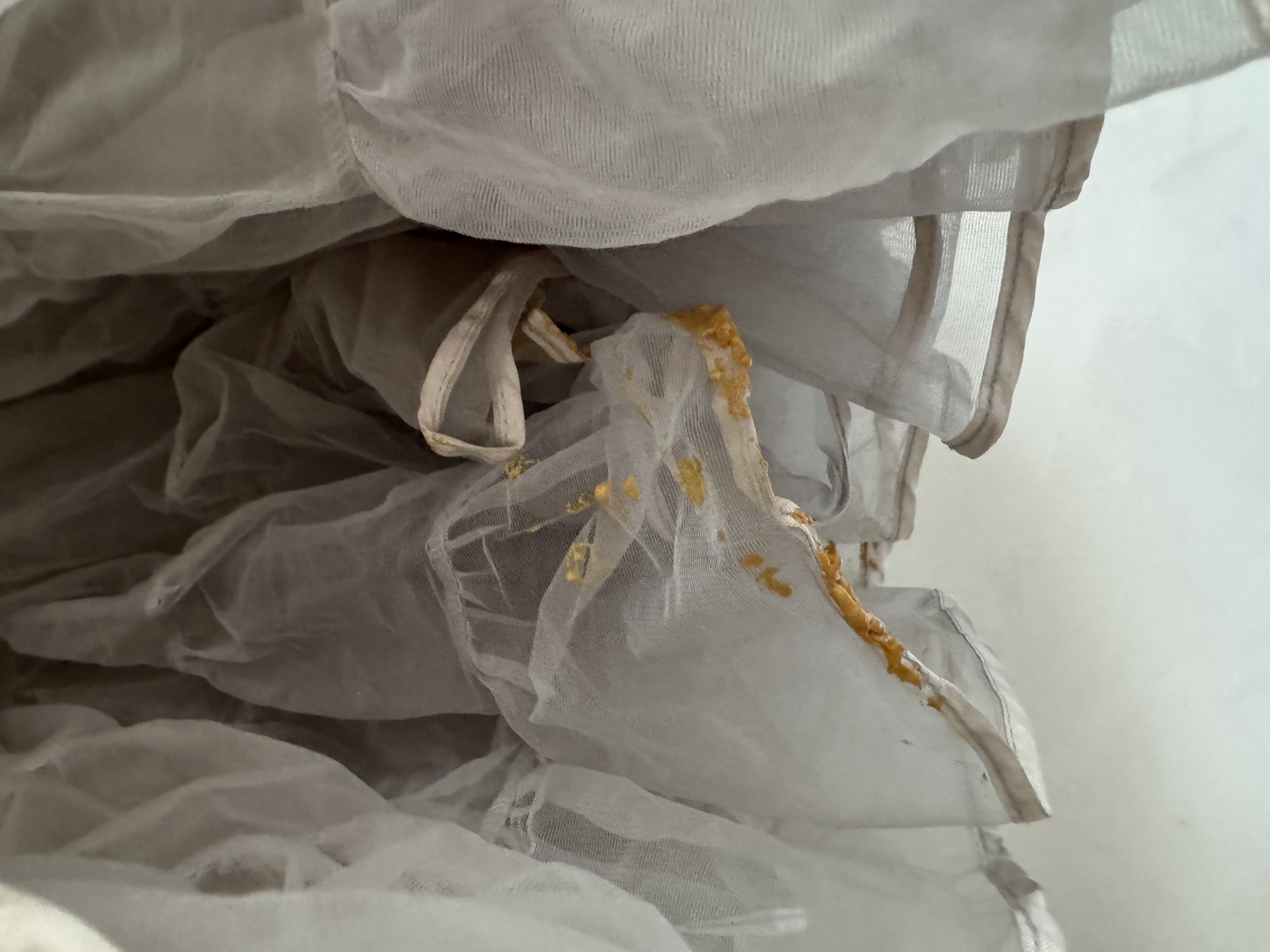 Underbar Tyllkjol som varit med på lite äventyr och är med på massa motiv